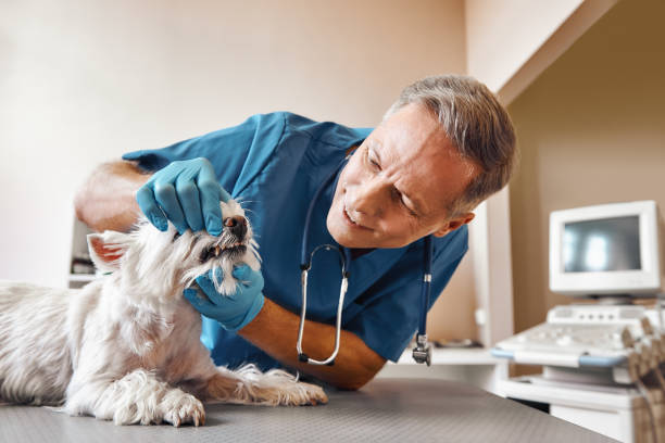 Best Emergency Wisdom Teeth Removal in Martin, SD